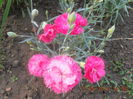 DSCN3148