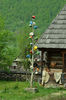 37.Copacul cu oale-Maramures