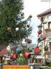 37.Copacul cu oale-Maramures