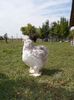 SAM_0894
