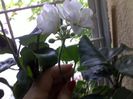 170620141847