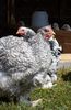SAM_0910