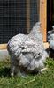 SAM_0913