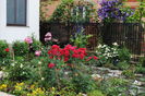 gradina 18 iunie