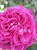 20140613_154110