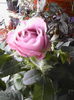 IMG_20140618_132515