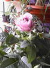 IMG_20140618_132506