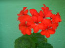 DSCN8404