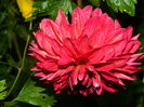 DSCN8409