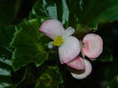 DSCN8416