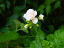DSCN8425