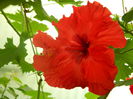DSCN8429