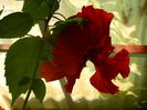 DSCN8430