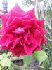 20140612_115301