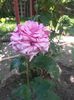 20140612_115517