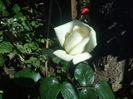 DSC08290
