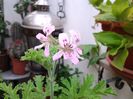 20140618_150102