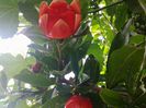 20140618_145720