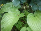 DSC09900
