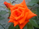 DSC09863