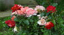 DSC01701