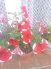 IMG_20140618_163833