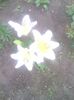 IMG_20140618_163930