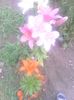 IMG_20140618_163937