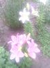 IMG_20140618_164013