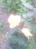 IMG_20140618_164028