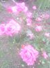 IMG_20140618_164137