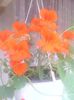 IMG_20140618_164238