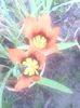 IMG_20140618_164402