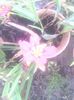 IMG_20140618_164416