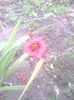 IMG_20140618_164428