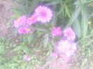 IMG_20140618_164455