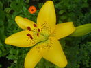 DSCN8134