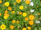 DSCN8135