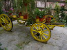 DSCN0244