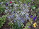 DSC00552