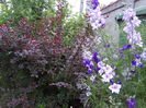 DSC00560