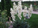 DSC00567