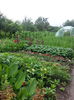 20140618_104532