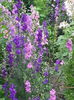 20140618_104510