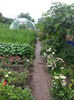20140618_104731