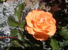 P6150006