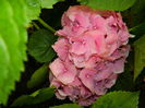 DSCN8068