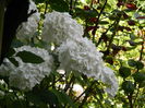 DSCN8450