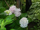 DSCN8743