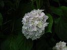 DSCN8754